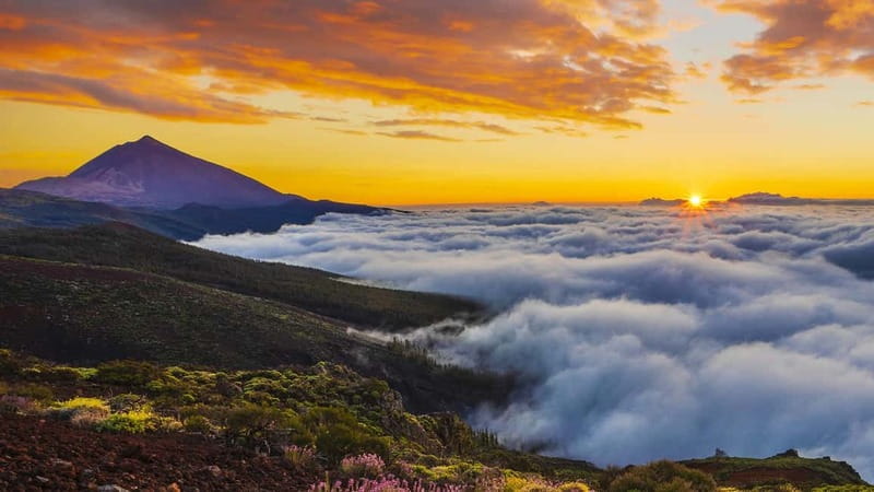Puerto Cruz: VIP Teide Sunset & Stars, Guachiche Lunch+Cava - Stargazing under Teide’s dark sky