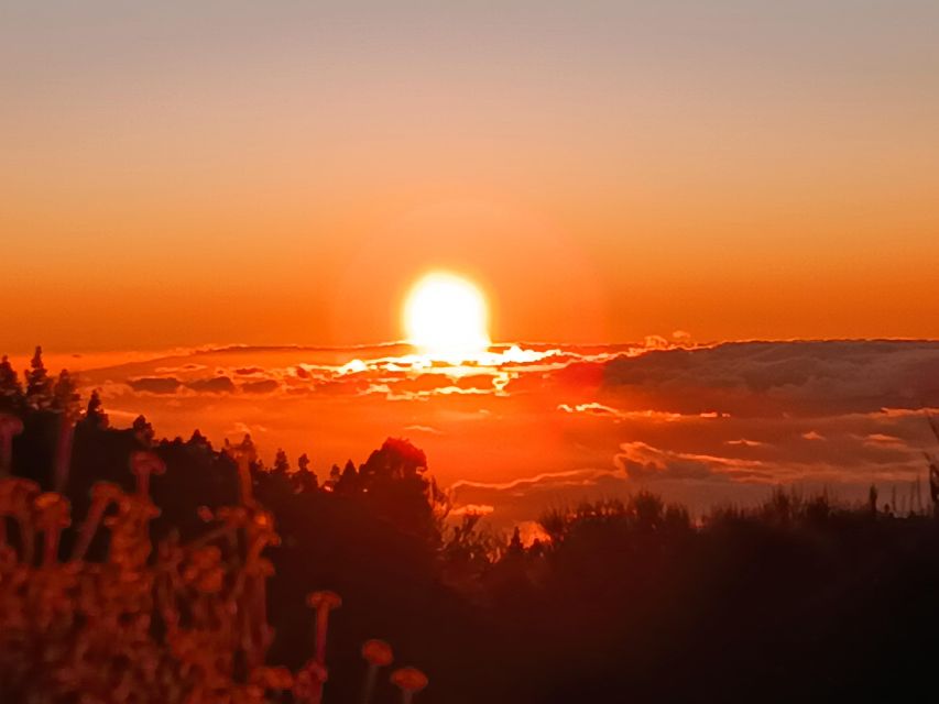 Puerto Cruz: VIP Teide Sunset & Stars, Guachiche Lunch+Cava - FAQ