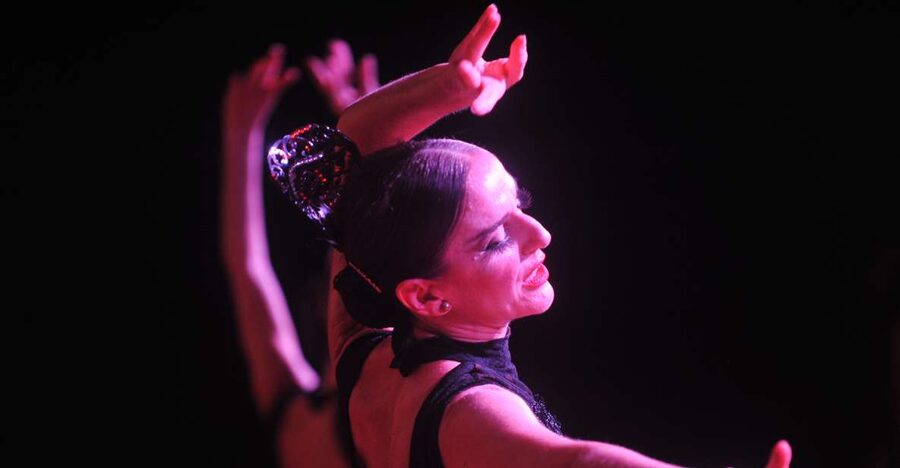 Puerto de la Cruz: Flamenco Show at Casa Ábaco with a Drink - A mansion sets the scene