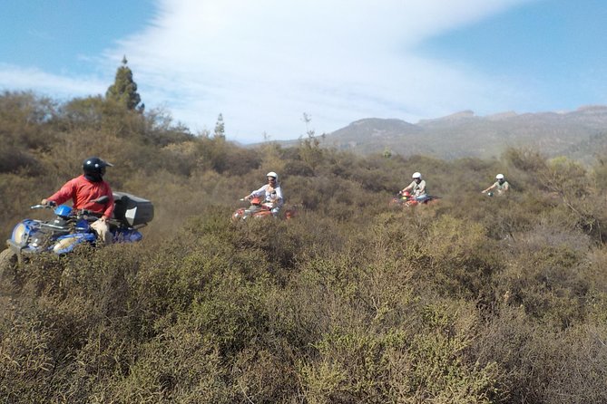 Quad Bike Safari - Delays, heat, and realistic expectations