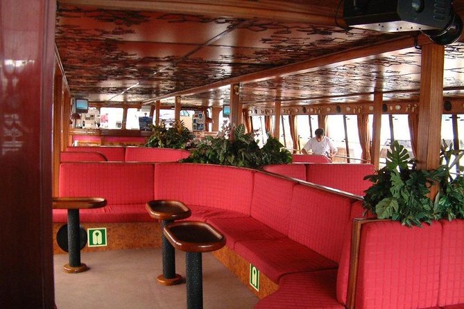 Royal Delfin - 2Hour Sustainable Dolphin & Whale Watching Mini Cruise - Price, extras and the sustainability question
