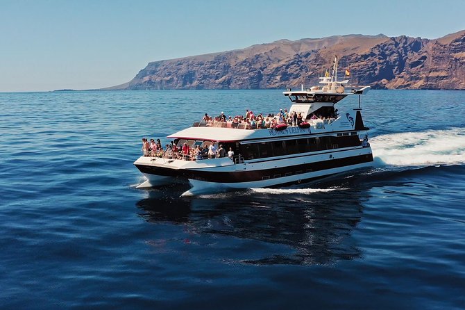 Royal Delfin - 4'5H Dolphin & Whale Watching - Los Gigantes Masca - Lunch & Swim - Underwater windows, with wildlife on its own schedule