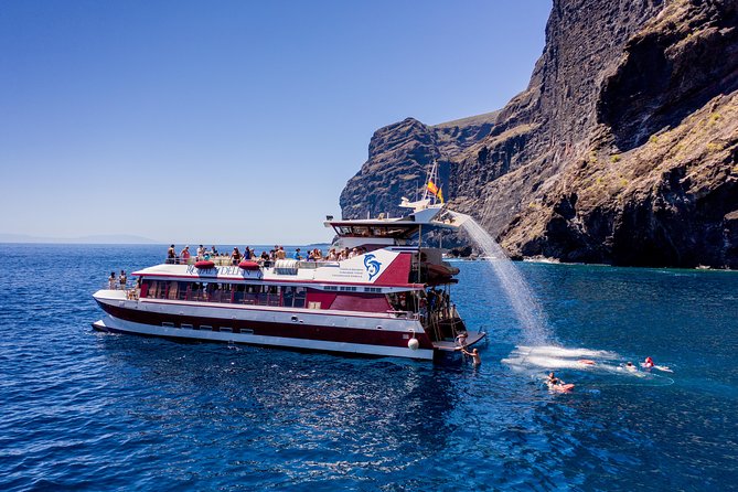 Royal Delfin - 4'5H Dolphin & Whale Watching - Los Gigantes Masca - Lunch & Swim - Practical details before you book