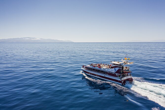 Royal Delfin - 4'5H Dolphin & Whale Watching - Los Gigantes Masca - Lunch & Swim - Los Gigantes cliffs and a swim in Masca Bay