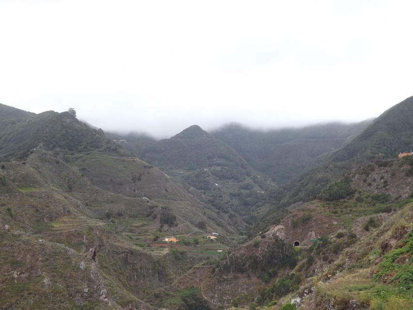 Santa Cruz de Tenerife: 2-Hour Hiking Tour in Anaga Forest - A forest walk, not a fitness test
