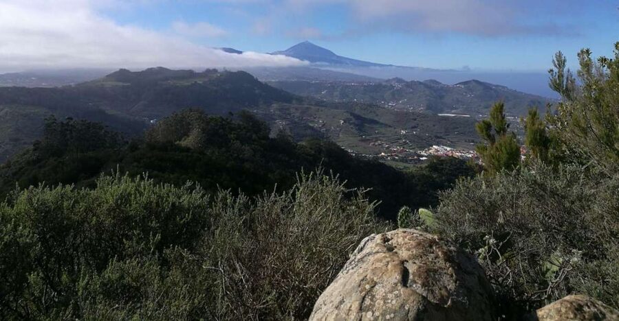 Santa Cruz de Tenerife: 2-Hour Hiking Tour in Anaga Forest - From La Laguna toward Anaga