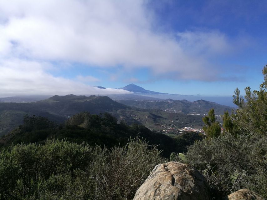 Santa Cruz de Tenerife: 2-Hour Hiking Tour in Anaga Forest - Views and a different side of Tenerife