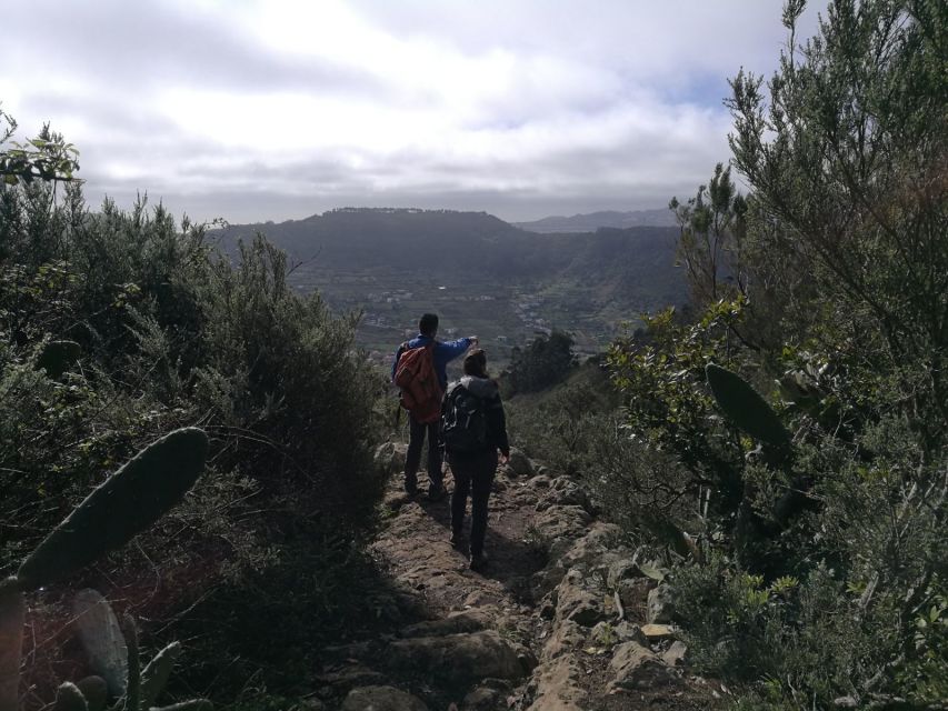 Santa Cruz de Tenerife: 2-Hour Hiking Tour in Anaga Forest - What to wear and bring