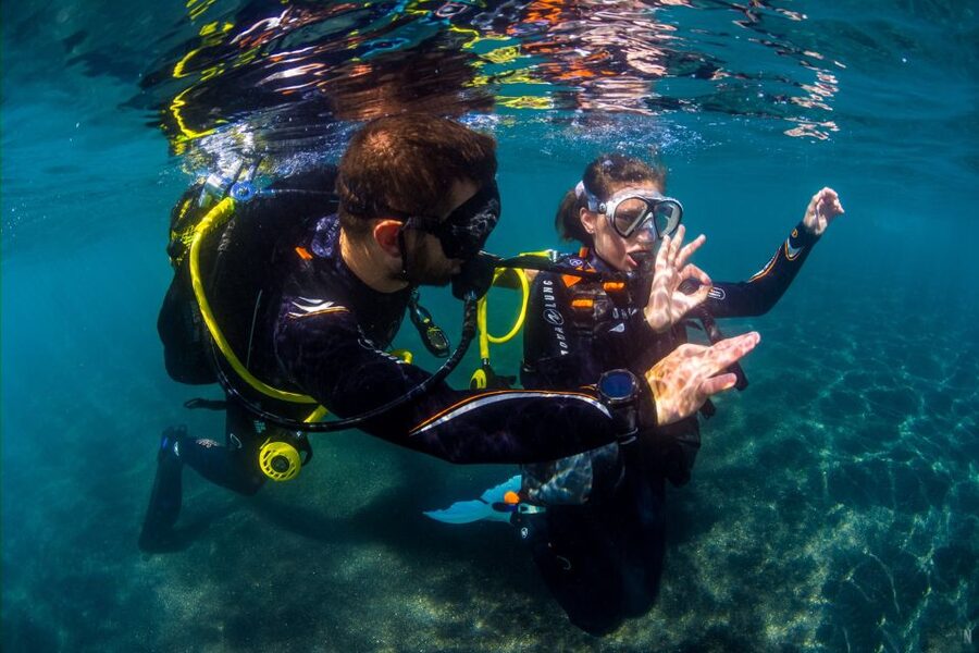 Santa Cruz de Tenerife: Beginner's Diving & Introduction - A first taste of breathing underwater