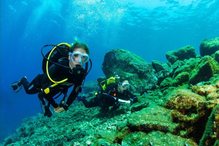 Santa Cruz de Tenerife: Beginner's Diving & Introduction - The first hour: equipment and a steady start