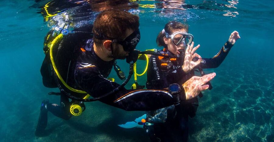 Santa Cruz de Tenerife: Beginner's Diving & Introduction - The final hour: warm up and see the photos