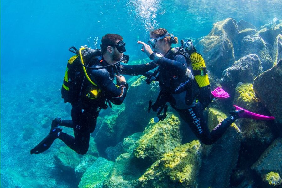 Santa Cruz de Tenerife: Beginner's Diving & Introduction - Is $89 good value?