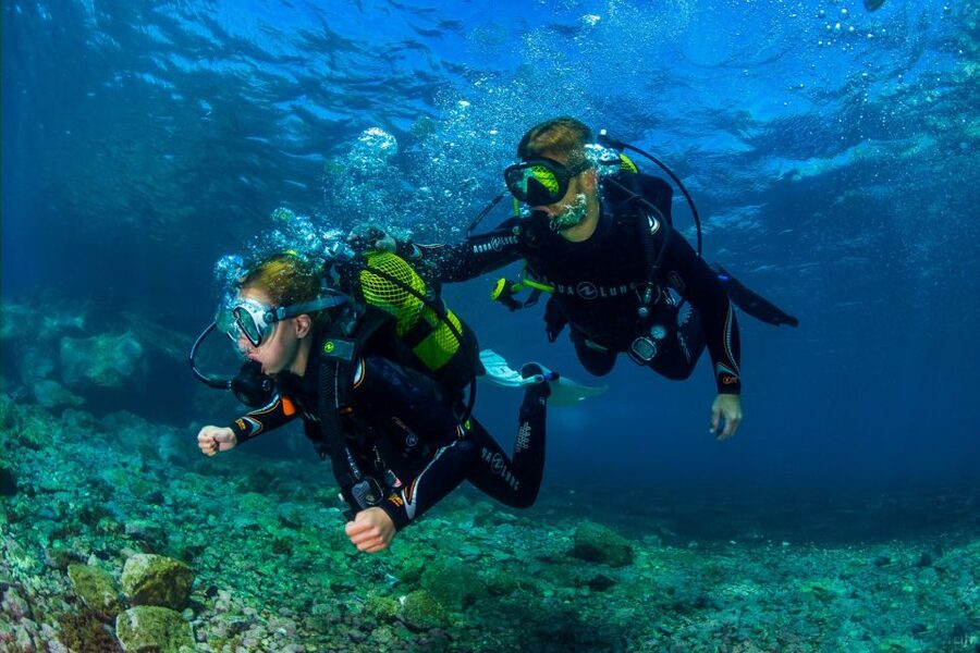 Santa Cruz de Tenerife: Beginner's Diving & Introduction - The next hour: into the water