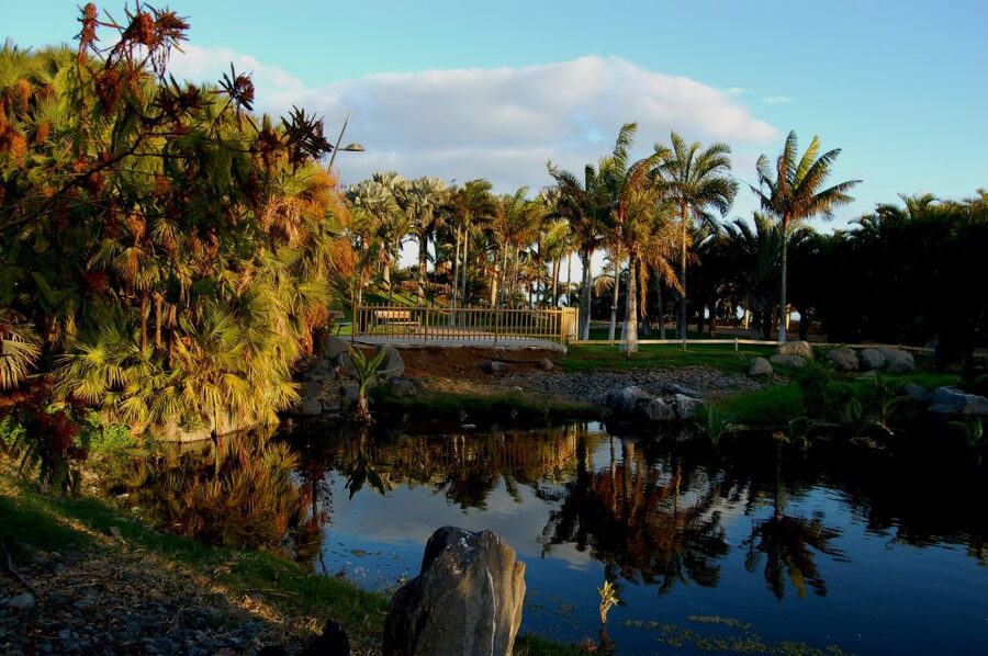 Santa Cruz de Tenerife Palmetum Entry Ticket - What makes a visit worthwhile