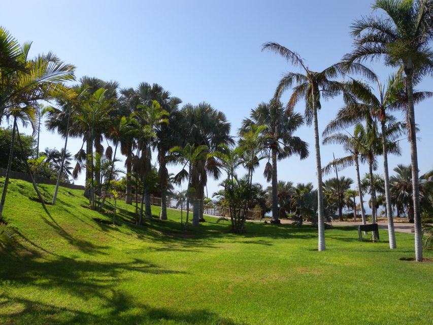 Santa Cruz de Tenerife Palmetum Entry Ticket - Lakes, waterfalls, and volcanic stone