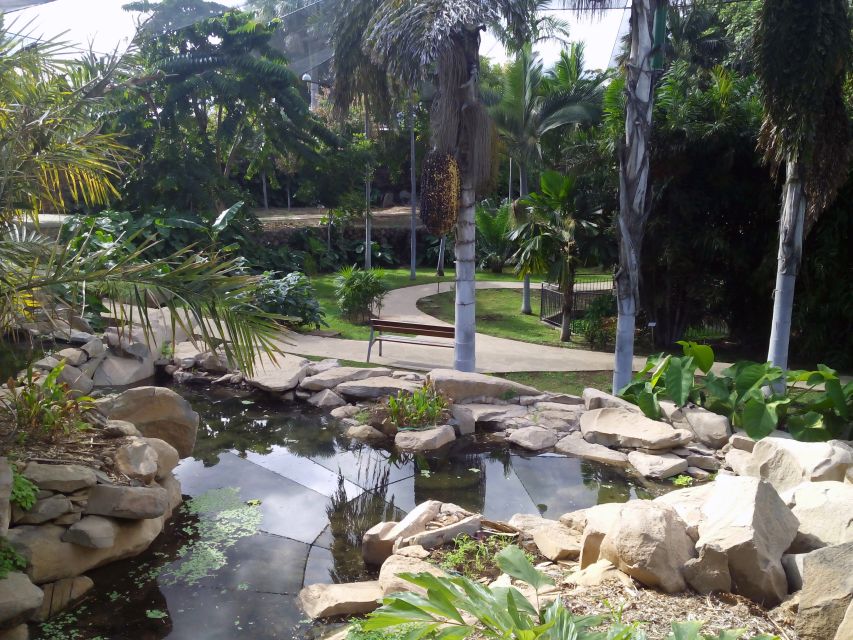 Santa Cruz de Tenerife Palmetum Entry Ticket - Price, access, and practical details
