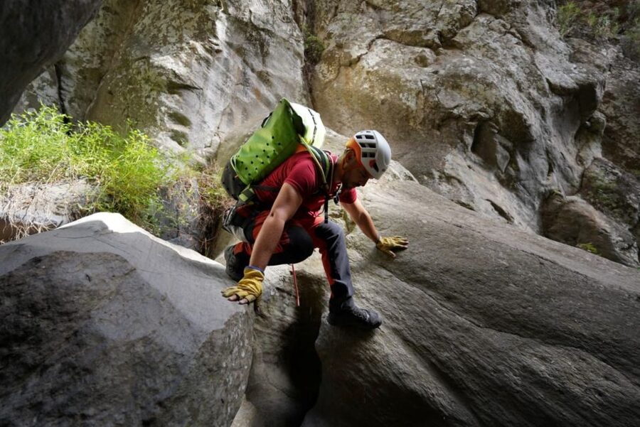 Santa Cruz de Tenerife: Vilaflor Canyoning Tour - The uphill return through Canary pines