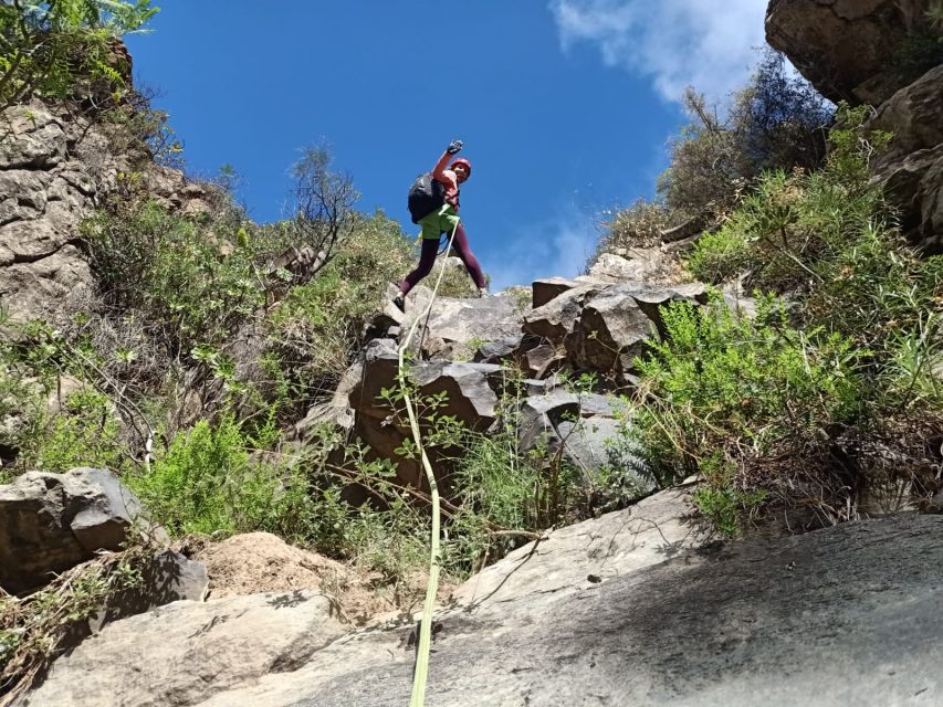 Santa Cruz de Tenerife: Vilaflor Canyoning Tour - What the $77 price includes