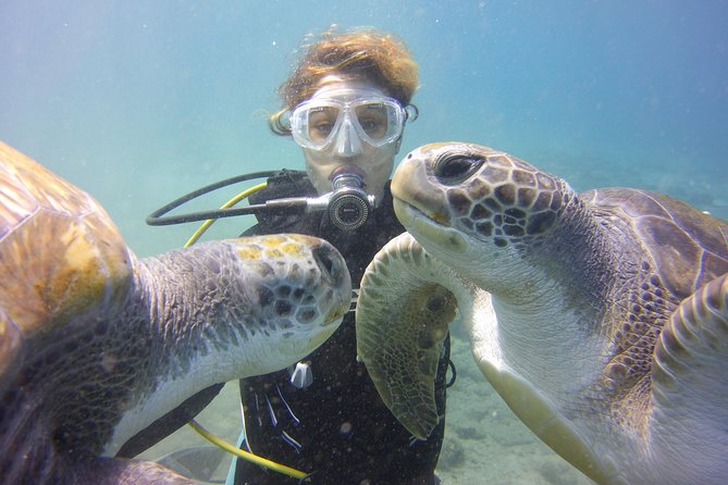 Scuba Diving Beginner's Session in Costa Adeje - From your hotel to Ocean Trek