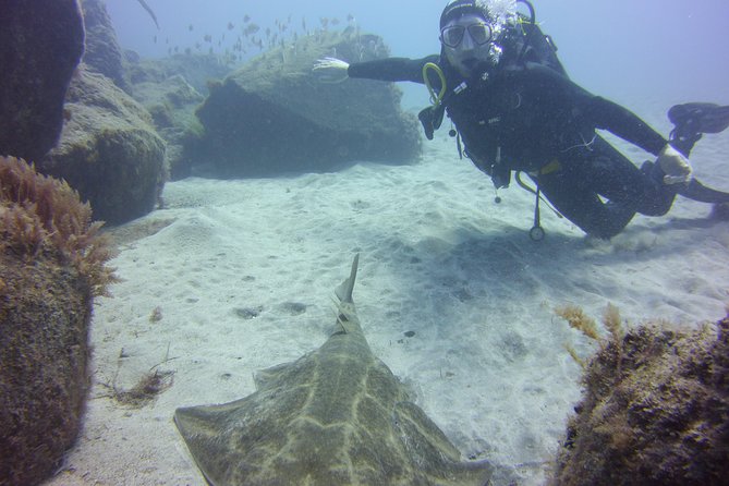 Scuba Diving Beginner's Session in Costa Adeje - Why the instructors matter more than the fish