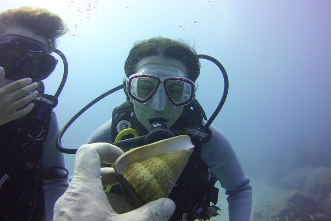 Scuba Diving Beginner's Session in Costa Adeje - Comfort, health and timing to plan around