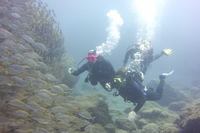 Scuba Diving Beginner's Session in Costa Adeje - FAQ