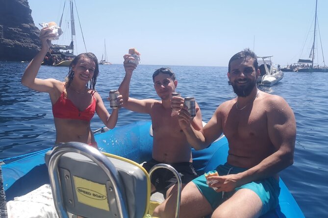 SEA SAFARI Dolphins, Whales, 3h speedboat DISCOVERY-TOUR - A three-hour search in Tenerife’s whale waters