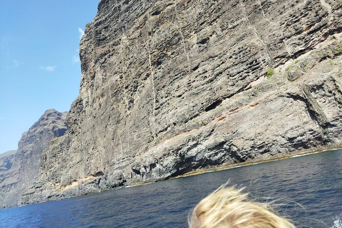 SEA SAFARI Dolphins, Whales, 3h speedboat DISCOVERY-TOUR - Who will enjoy this speedboat trip