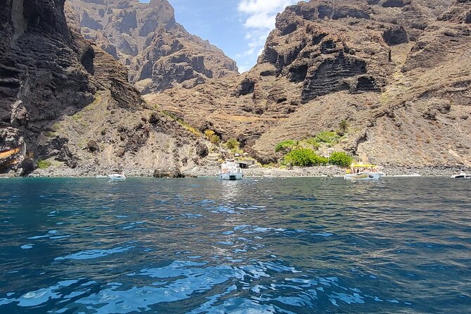 SEA SAFARI Dolphins, Whales, 3h speedboat DISCOVERY-TOUR - Returning by Tenerife’s southern cliffs