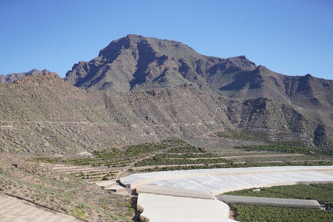 Secret Volcano Tour by Tuk Tuk in Costa Adeje - What the price buys