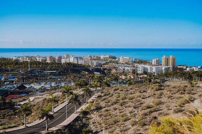 Secret Volcano Tour by Tuk Tuk in Costa Adeje - Who should book this Costa Adeje tour?