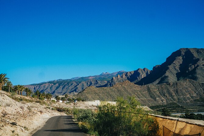 Secret Volcano Tour by Tuk Tuk in Costa Adeje - Aqualand, viewpoints and the return