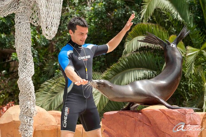 Skip the Line: Jungle Park Tenerife Entrance Ticket - Bird shows are the day’s anchor