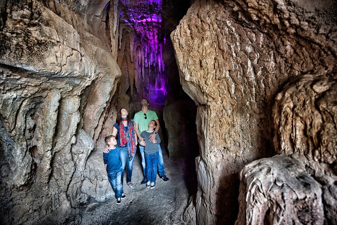 Skip the Line: Jungle Park Tenerife Entrance Ticket - Six hours gives you room to slow down
