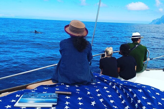 Small Group Boat Whale and Dolphin Watching Tour - Practical details before you reserve