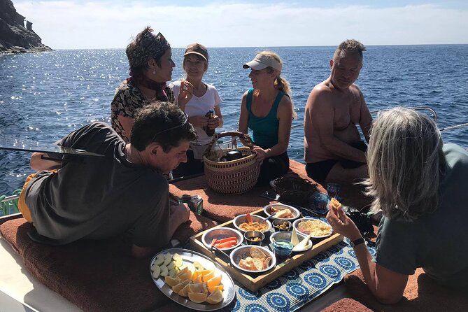 Small Group Boat Whale and Dolphin Watching Tour - Who should book this boat trip?