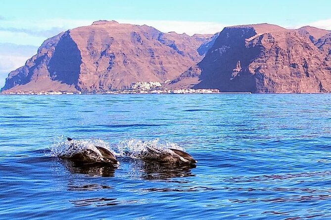 Small Group Boat Whale and Dolphin Watching Tour - FAQ