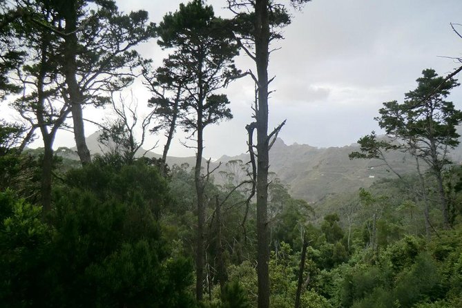 Small Group Guided Hiking in Anaga Rural Park in Tenerife - What the guide adds to the walk