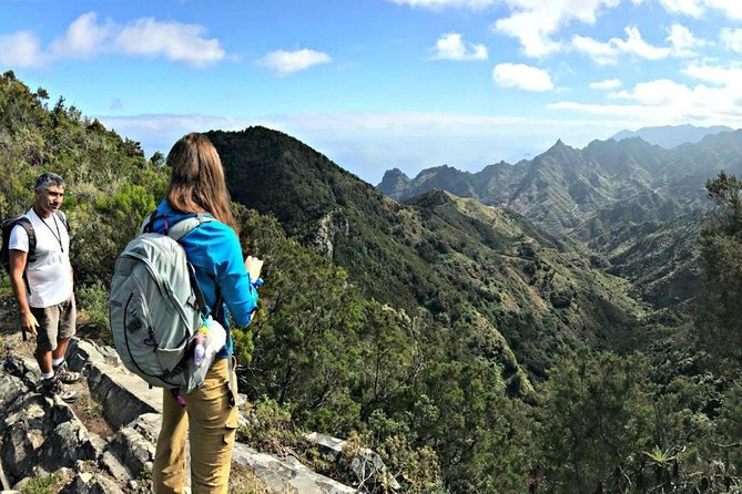 Small Group Guided Hiking in Anaga Rural Park in Tenerife - Who should book this walk?