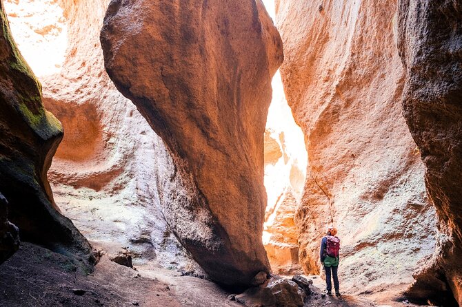 Small-Group Half-Day Canyoning in La Orotava - From pine-forest trail to the canyon rim