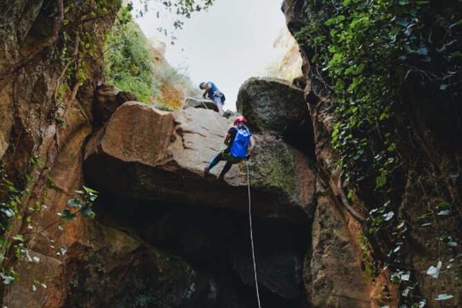 Small-Group Half-Day Canyoning in La Orotava - Who should book this canyoning trip?