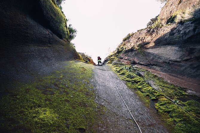 Small-Group Half-Day Canyoning in La Orotava - The walk out and the real effort involved