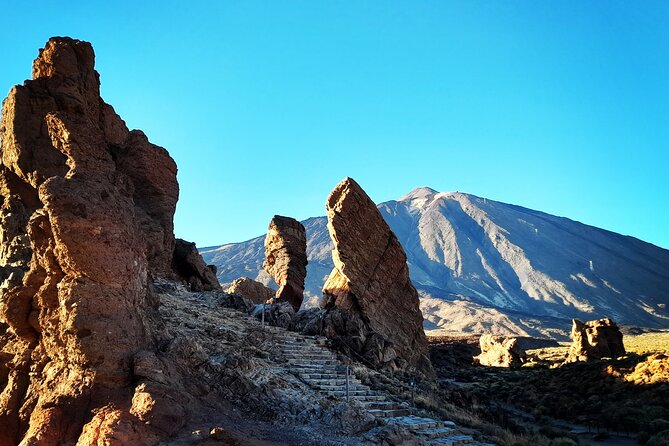 Small-Group Half-Day Tour of Teide National Park with Pickup - Vilaflor and the giant pine