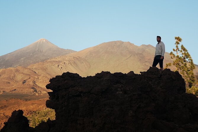 Small Group Teide National Park Volcanic and Forest Wonders - Price, pickup, and what to bring