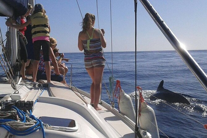 South Coast Tenerife Cruise - Is this the right cruise for you?