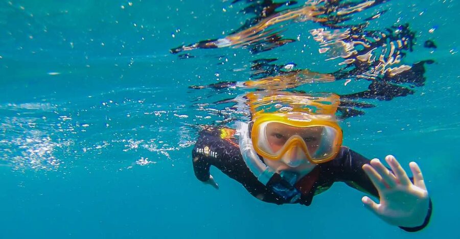 South Tenerife: Guided Snorkeling - At a glance