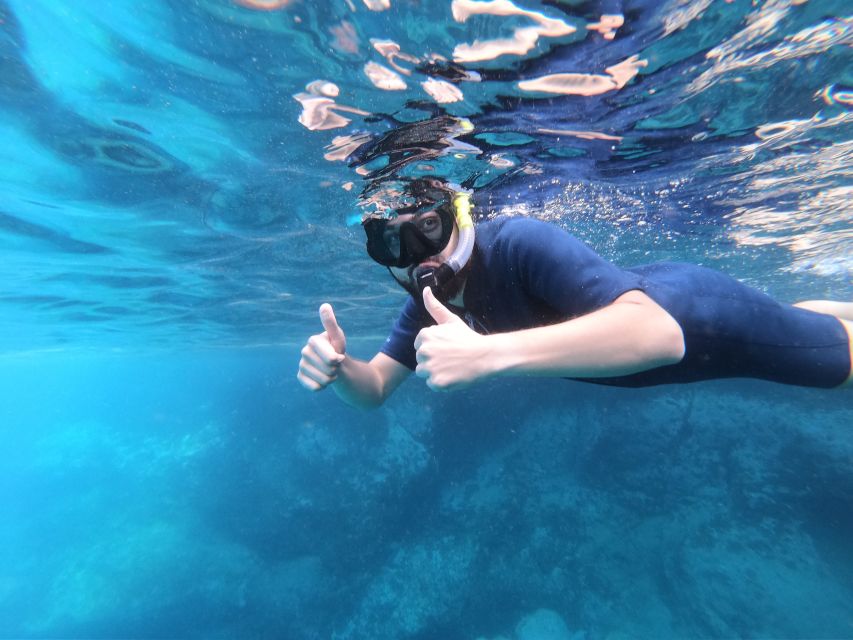 South Tenerife: Guided Snorkeling - Is the €46 price fair?