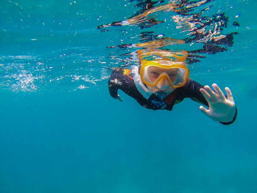 South Tenerife: Guided Snorkeling - Getting fitted and briefed