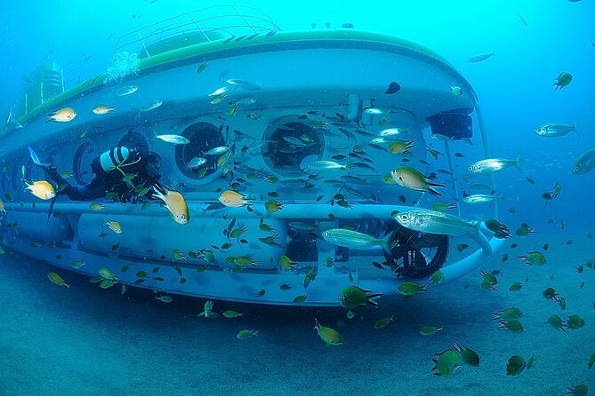Submarine tour Tenerife: a 1 hour underwater experience - What the hour underwater is really like