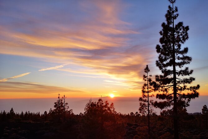 Sunset & Stargazing Experience From Teide - What $48.37 buys you